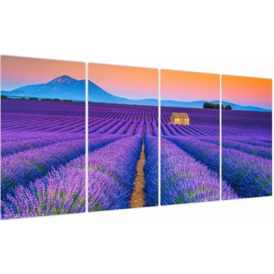 Obraz - Levandulové pole, Čtyřdílný 160x80 cm – Hledejceny.cz