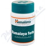 Himalaya Rumalaya Forte 60 tablet – Sleviste.cz