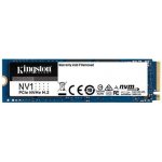 Kingston NV1 1TB, SNVS/1000G – Zboží Živě