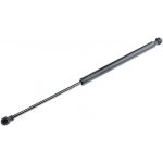Pneumatická pružina, zavazadlový / nákladový prostor NTY AE-FT-011
