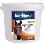 Nutri Horse Elektrolyt plv. 3 kg – Hledejceny.cz