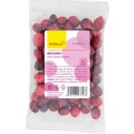 Wolfberry Brusinky sušené mrazem 20 g – Zboží Dáma