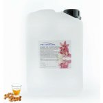 PM Aqualog esence do parních kabin amaretto 802-003/D 3 l – Hledejceny.cz