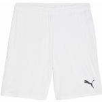 Puma teamGOAL Shorts – Zboží Mobilmania