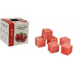 Kozák přírodní vonný vosk do aromalamp a interiérů 8 kostiček Granátové jablko 30 g – Zboží Dáma