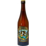 Matuška Dvanáctka 12° 5,1% 0,75 l (sklo) – Hledejceny.cz