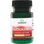 Swanson Nattokinase 100 mg 30 kapslí – Hledejceny.cz