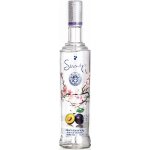 Slivovitz plum brandy 45% 0,7 l (holá láhev) – Zboží Dáma