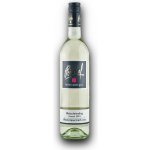 Peiserhof Welschriesling Klassik 2023 Trocken Weststeiermark DAC 11,5% 0,75 l (holá láhev) – Hledejceny.cz