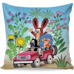 Matějovský Krtek v autě 40 x 40 cm – Sleviste.cz