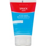 Speick Men balzám po holení 100 ml – Zboží Mobilmania