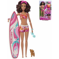 Barbie SURFAŘKA S DOPLŇKY