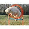 Výcvik psů Trixie Agility proskakovací kruh / 65 x 115 cm