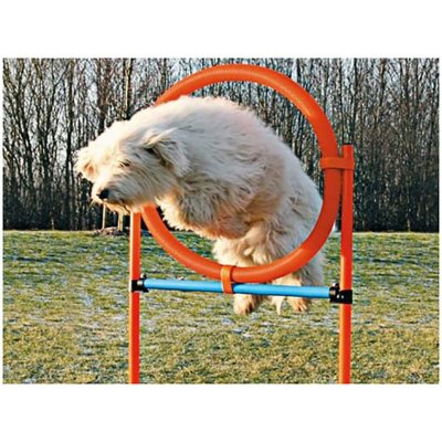 Trixie Agility proskakovací kruh / 65 x 115 cm – Zboží Mobilmania