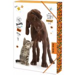 Argus A4 Forever friends 12310307 – Zboží Dáma