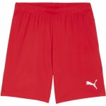 Puma teamGOAL Shorts – Zboží Mobilmania