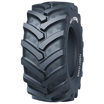 Tianli Forest Leader (ST) LS-2 650/65-38 171A8/168B TL | Zboží Auto