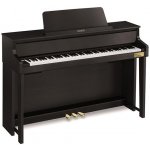 Casio GP-310 – Hledejceny.cz