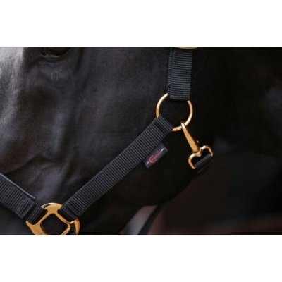 Covalliero ohlávka TopLine forest Černá – Zboží Dáma