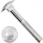 Šroub vratový metrický DIN 603 M6x40 Zn – Zboží Mobilmania