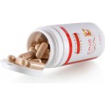 Inventia Vitamín C Plus 60 kapslí – Hledejceny.cz