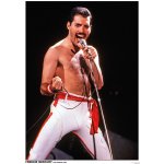 Plakát, Obraz - Queen (Freddie Mercury) - Los Angeles 1982, 59.4 × 84.1 cm – Zboží Dáma