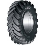 BKT Agrimax Fortis 600/70-30 161A8/158D TL – Hledejceny.cz