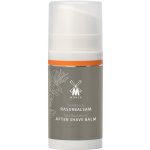 Mühle Sea Buckthorn balzám po holení 100 ml – Zboží Dáma