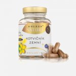 Golden Nature Kotvičník Zemní 90% + Zinek + Selen 6 x 100 tablet – Hledejceny.cz