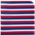 Avantgard Kapesníček Lux trikolóra bílá červená modrá 583 111218 – Zbozi.Blesk.cz