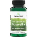 Swanson Boswellia Double Strenght 800 mg 60 kapslí – Hledejceny.cz