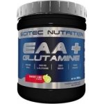 Scitec Nutrition EAA + Glutamine 300 g – Zboží Dáma