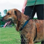 Trixie Easy Walk postroj proti táhnutí L 45-65/2,5 cm – Hledejceny.cz