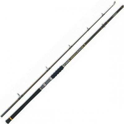 Mivardi Xtreme Catfish 2,4 m 200-600 g 2 díly – Zbozi.Blesk.cz