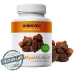 MYCOMEDICE TCM Point Ohňovec 90 kapslí – Hledejceny.cz