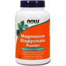 Doplněk stravy Now Magnesium Bisglycinate hořčík bisglycinát prášek 227 g