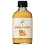 NaturalProtein Zázvorová šťáva 100 ml – Hledejceny.cz
