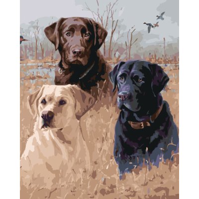 ZUTY Malování podle čísel ZLATÝ HNĚDÝ A ČERNÝ LABRADOR V RAKOSÍ U RYBNÍKA JIM KILLEN Rozměr 40 x 50 cm Rámování bez rámu a bez vypnutí plátna – Hledejceny.cz