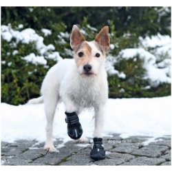 Svíčky ženský bouřka boty pro psa do snehu Vpřed ženský profesionální