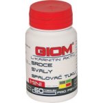 Giom L-karnitin Aktiv Mini 60 tbl – Hledejceny.cz