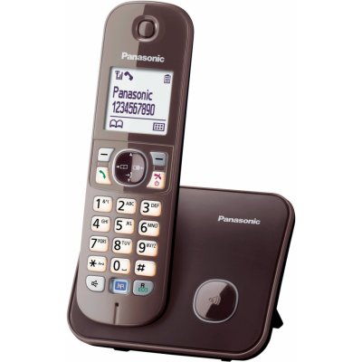 Panasonic KX-TG6811GA – Zboží Živě