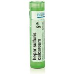 HEPAR SULFURIS CALCAREUM POR 5CH GRA 4G – Hledejceny.cz