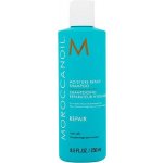 Moroccanoil Moisture Repair Shampoo 250 ml – Zboží Mobilmania