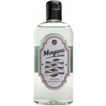 Morgan's Menthol Cooling vlasové tonikum 250 ml – Hledejceny.cz