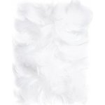DP Craft Peří bílé 10 gr. 5-12 cm – Sleviste.cz