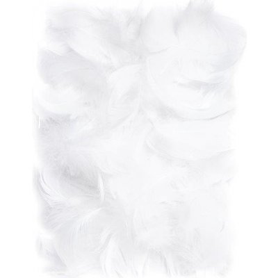DP Craft Peří bílé 10 gr. 5-12 cm – Sleviste.cz