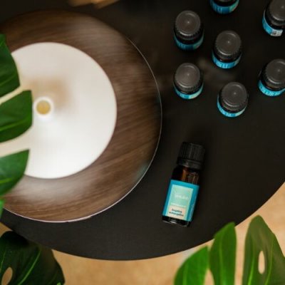 Venoc Esenciální olej Angelika 10 ml – Hledejceny.cz