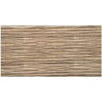 Impol Trade 3D TP10034026 500 x 970 mm jasan broušený 1ks – Sleviste.cz