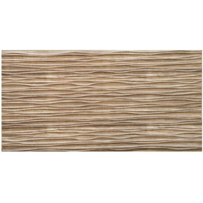 Impol Trade 3D TP10034026 500 x 970 mm jasan broušený 1ks – Sleviste.cz