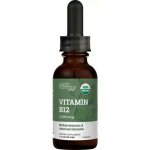 Earth Harmony Vitamin B12 29,6 ml – Hledejceny.cz